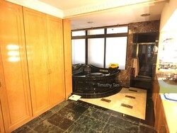The Balmoral (D10), Condominium #241644681